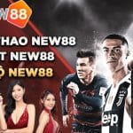 thể thao new88